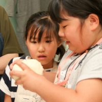 お天気の一日、大勢の子どもたちのにぎやかな声。 手打ちうどん作り体験教室 2017年4月 20170423-2.jpg – イリコスキー製麺所