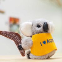 オーストラリアにもうどん好き、多いんですね 手打ちうどん作り体験教室 2019年4月 20190410-2.jpg – イリコスキー製麺所