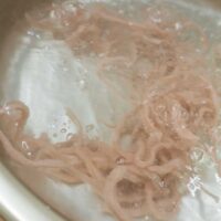 鍋の中で茹で上がるおめでたい紅いうどん / Festive red udon noodles boiling in a pot. 手打ちうどん作り体験教室 2025年12月 A6407587-1.jpg – イリコスキー製麺所